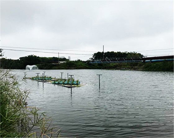 未標(biāo)題-黑偉黑偉沉水式風(fēng)機(jī)使用方便噪音?。? />
</p>
        </div>
        <!--分頁(yè)-->
        <div   class=